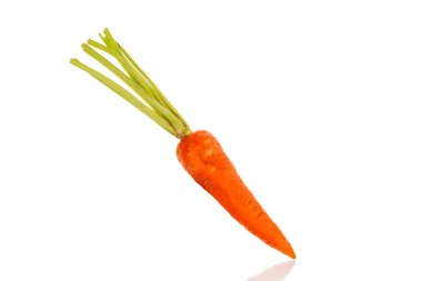 Beyaz arka planda izole edilmiş taze havuç, makro..