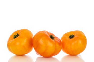 Beyaz arka planda izole edilmiş sarı sulu domatesler, yakın plan..