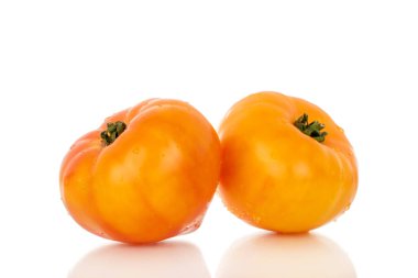 Beyaz arka planda izole edilmiş sarı sulu domatesler, yakın plan..