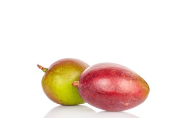 Beyaz arka planda olgun sulu mangolar, yakın plan..