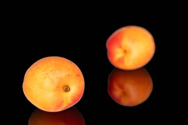 Olgun organik kayısılar siyah arka planda izole edilmiş, makro.