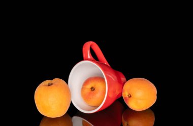 Olgun organik kayısılar siyah arka planda izole edilmiş, makro.