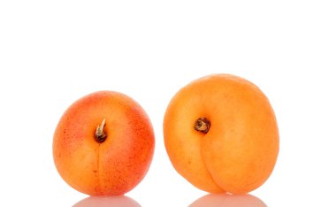 Beyaz arka planda izole edilmiş olgun organik kayısılar, makro.