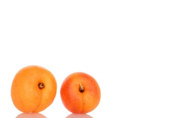 Beyaz arka planda izole edilmiş olgun organik kayısılar, makro.