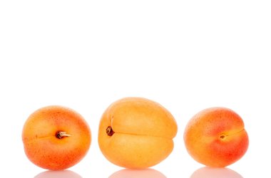 Beyaz arka planda izole edilmiş olgun organik kayısılar, makro.