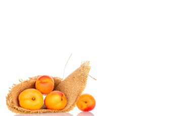 Beyaz arka planda izole edilmiş olgun organik kayısılar, makro.