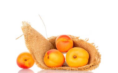 Beyaz arka planda izole edilmiş olgun organik kayısılar, makro.