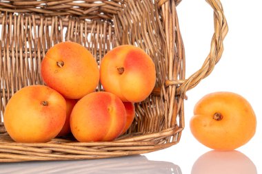 Beyaz arka planda izole edilmiş olgun organik kayısılar, makro.