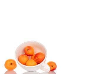 Beyaz arka planda izole edilmiş olgun organik kayısılar, makro.