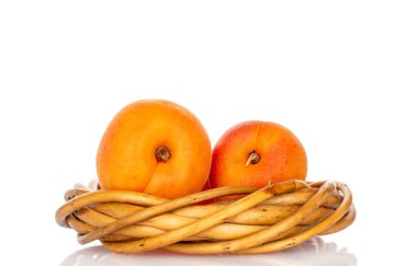 Beyaz arka planda izole edilmiş olgun organik kayısılar, makro.