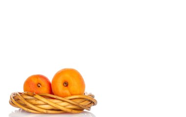 Beyaz arka planda izole edilmiş olgun organik kayısılar, makro.