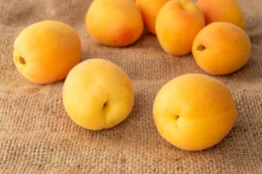 Jüt kumaş, makro üzerinde organik olgun kayısılar..