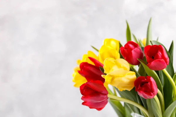 Желтые Красные Тюльпаны Сером Бетонном Фоне — стоковое фото