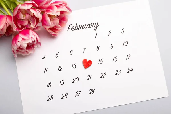 Valentijnsdag Kalender Met Roze Tulpen Witte Achtergrond — Stockfoto