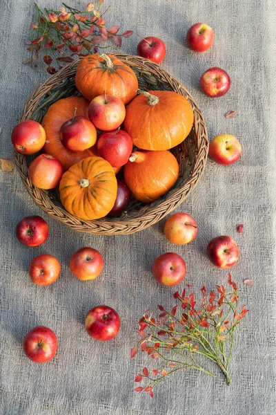 各种南瓜和红苹果在柳条筐里 放在铺着帆布的桌子上 秋天静谧生命的最高峰 垂直照片 — 图库照片