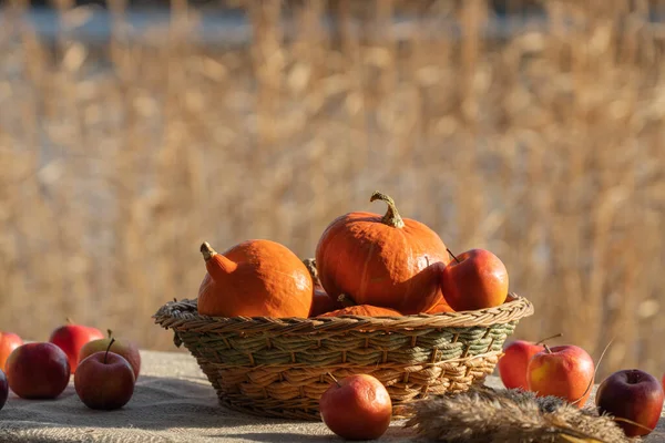 テーブルの上には カボチャとリンゴがキャンバスのテーブルクロスで覆われた美しいバスケット 葦のある湖を背景にした秋の静物画 — ストック写真
