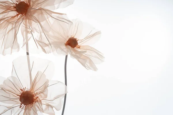 stock image Delicate artificial flowers for a photo studio on a light background. Soft peach color. Space for text.
