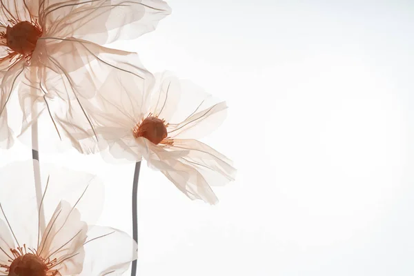 Delikat Konstgjorda Blommor För Fotostudio Ljus Bakgrund Mjuk Persikofärg Plats — Stockfoto