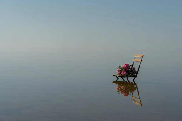 在湖水环绕的中央站着一把木制椅子 上面有一束华丽的粉色牡丹 柔和而轻松的作曲 免版税图库图片