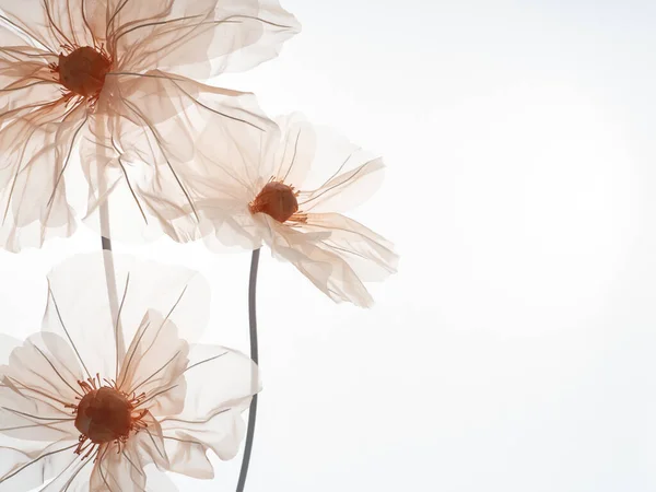 Zarte Künstliche Blumen Für Ein Fotostudio Auf Hellem Hintergrund Weiche lizenzfreie Stockfotos