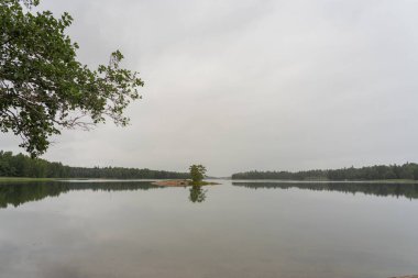 Güz manzarası, göl kıyısı ve bulutlu bir günde küçük kayalık bir ada. İskandinavya. Doğal arkaplan.