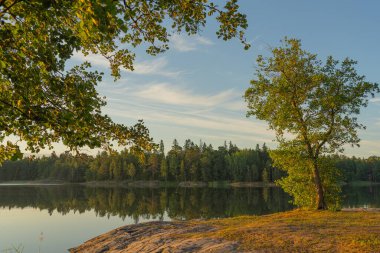 Güneşin batışındaki gölün arka planında, kayalık bir sahilde bir ağacın olduğu güzel bir manzara. İskandinavya. Doğal arkaplan.