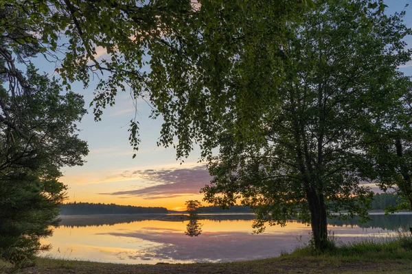 Bäume Vor Dem Hintergrund Eines Feurigen Sonnenuntergangs Über Dem See — Stockfoto