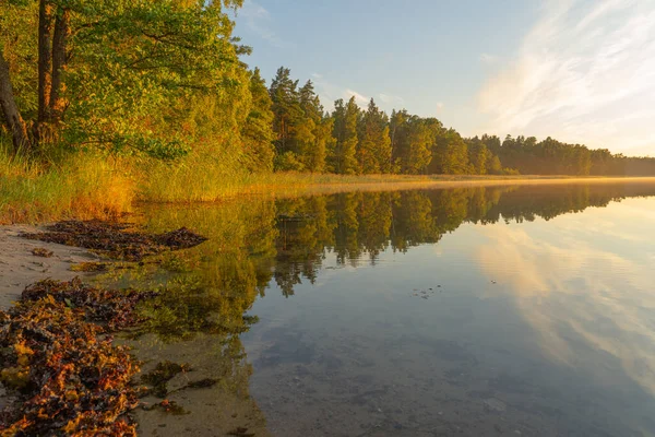 Берег Озера Освещается Заходящим Солнцем Прекрасная Природа Естественный Фон — стоковое фото