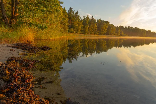Das Ufer Des Sees Wird Von Der Untergehenden Sonne Erleuchtet — Stockfoto