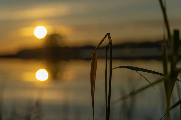 Krásný Západ Slunce Nad Jezerem Rozostřený Několik Stébel Trávy Zaostřených — Stock fotografie