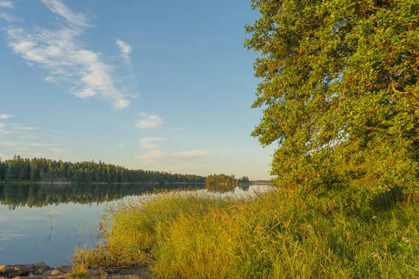 Břehu Jezera Svítilo Zapadající Slunce Krása Přírody Přírodní Pozadí — Stock fotografie