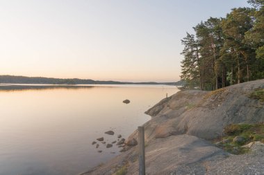 Koyun üzerinde gün batımına karşı çam ağaçları olan kayalık bir sahil. Ufukta ağaçlar beliriyor. Finlandiya doğası. İskandinavya.