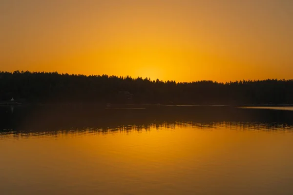 Zlatooranžový Západ Slunce Moři Siluetou Linie Stromů Obzoru Příroda Finska — Stock fotografie
