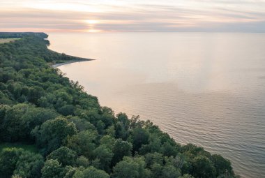 Sunset over Narva Bay. Toila Oru Park. The sky is a pastel color. The rich greenery of the park. Space for text. Natural background.