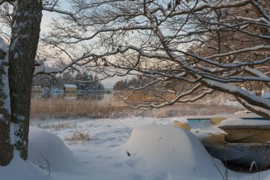 Soukka, Finland - 09.12.22: The snowy shore of the bay with trees and boats. View through the branches of a small snow-covered island with houses. Frozen bay. Scandinavia. Finnish winter.