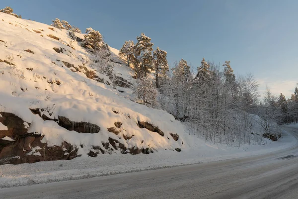 The slope of the cliff with pine trees by the road is covered with snow. A sunny winter day.