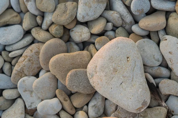 Pebble Beach Stone Pebbles Close Stone Background — Stock Photo, Image