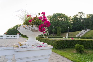 Estonya 'daki Toila Oru Parkı' nda pembe pelargonyumlu klasik saksılar. Bir yaz gününde parkta yürümek..