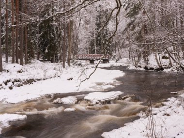 Gözlerden uzak bir kış manzarası, akan bir deresi ya da şelalesi olan karlı kıyılar arasında. Eski bir köprü görünür. Ormanların uyumu ve sessizliği kış doğası, rahat bir sükunet, tıpkı bir Noel günü gibi..