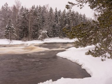 kar, kış, ağaç, soğuk, doğa, orman, noel, beyaz, manzara, gökyüzü, çam, don, mevsim, buz, köknar, mavi, dal, karlı, donmuş, ladin, dağ, xmas, ahşap, aralık