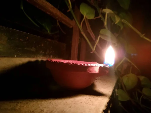 Diwali Lambası Geceleri Tulsi Ağacının Arkasında Bir Lamba Diwali Lambasının — Stok fotoğraf