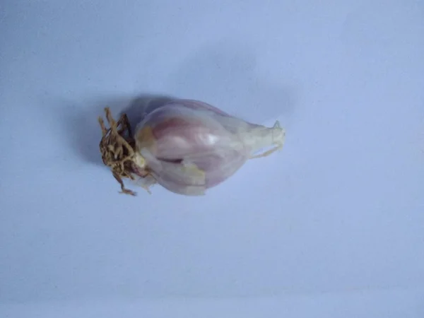 Σκόρδο Απομονωμένο Λευκό Φόντο Σκόρδο Σκελίδες — Φωτογραφία Αρχείου