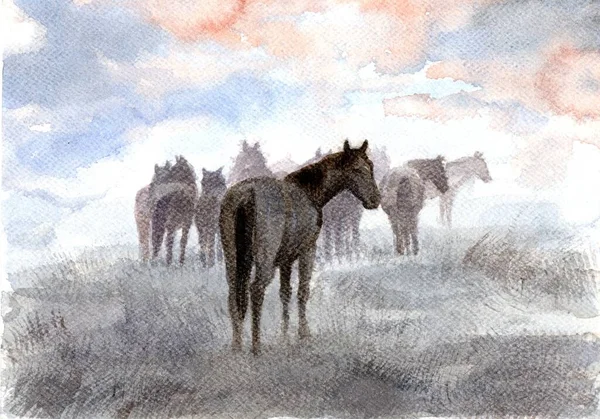 Flock Hästar Betar Hage Ett Landskap Gryningen Akvarell — Stockfoto
