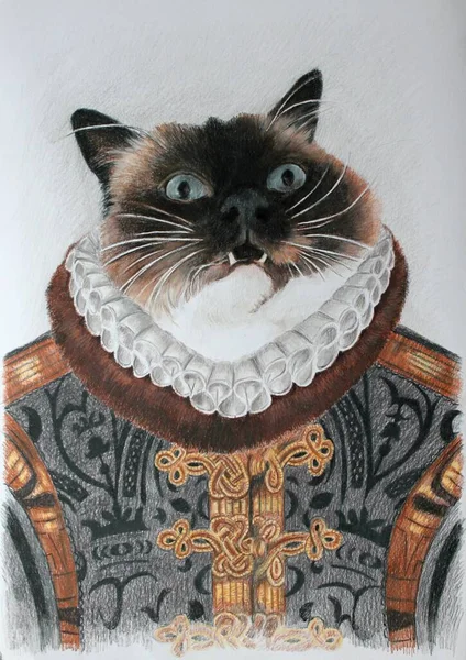 Bir aristokrat kostümü giymiş bir kedinin portresi - Birmanyalı bir baron asilzadesi - el yapımı (pastel boyalı)