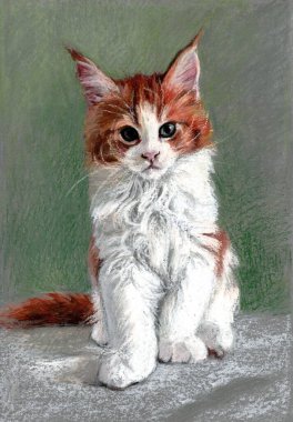 Kırmızı-beyaz rakun kedisi, kedi oturur ve önüne bakar, yeşil-gri arka plan - yağlı pastel boya ile yapılmış bir kedinin portresi. Boya kalemli çizim