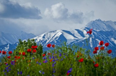 Dağları ve bulutları olan güzel bir manzara