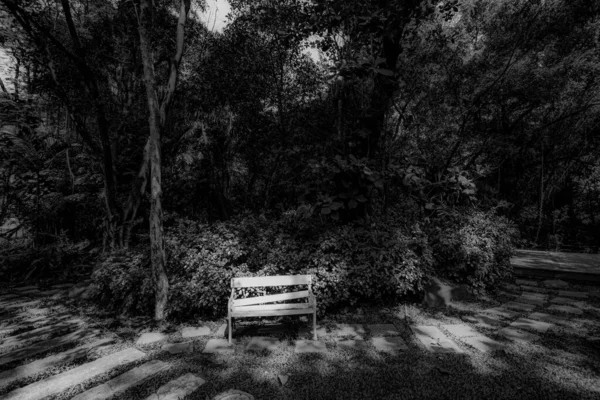 Чорно Білий Парк Тіньовий Дрібними Великими Деревами Змішаними Невелика Лавка — стокове фото