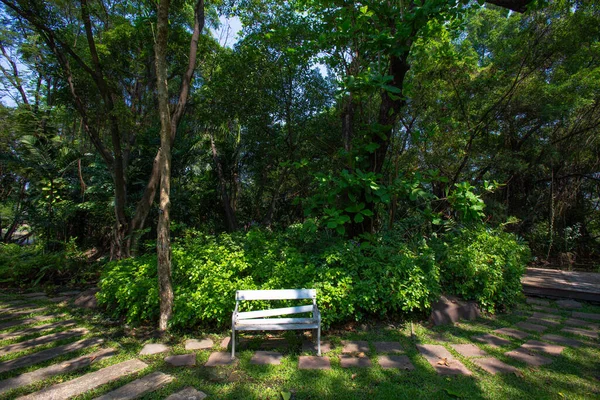 Parken Skuggig Med Små Och Stora Träd Blandat Med Grönska — Stockfoto