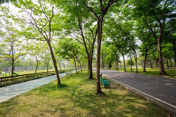 Ağaçlarla Çevrili Güzel Yürüyüş Yolları Parkta Gölge Sağlar — Stok fotoğraf