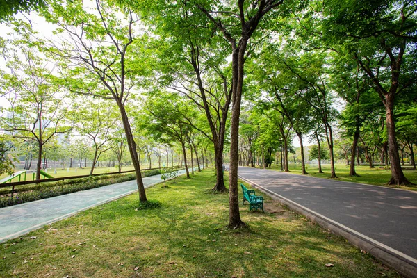 Schöne Von Bäumen Umgebene Wanderwege Spenden Schatten Park — Stockfoto